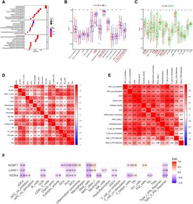 A novel m7G methylation–related signature associated with chromosome homeostasis in patients with lung adenocarcinoma